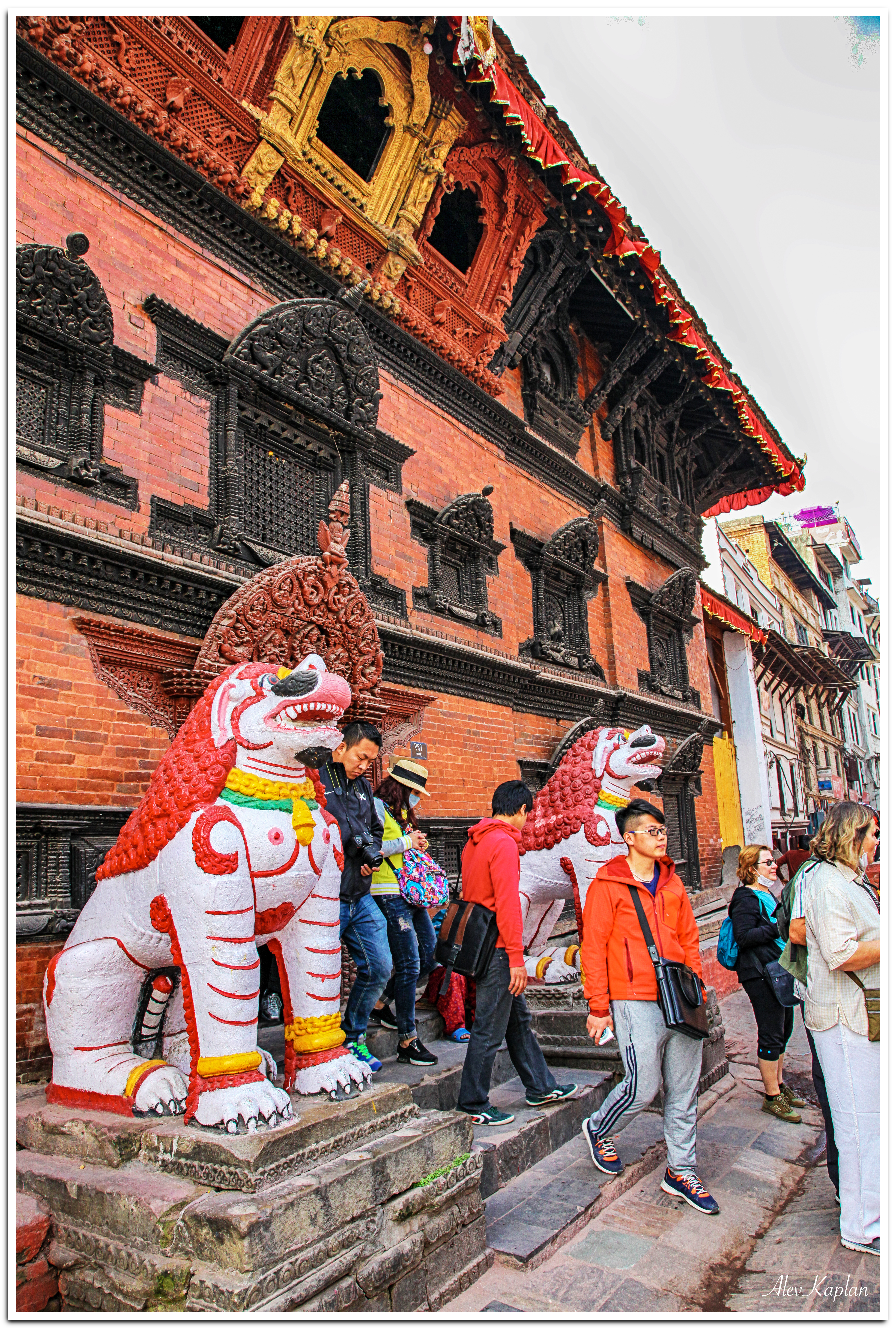 21-IMG_2509