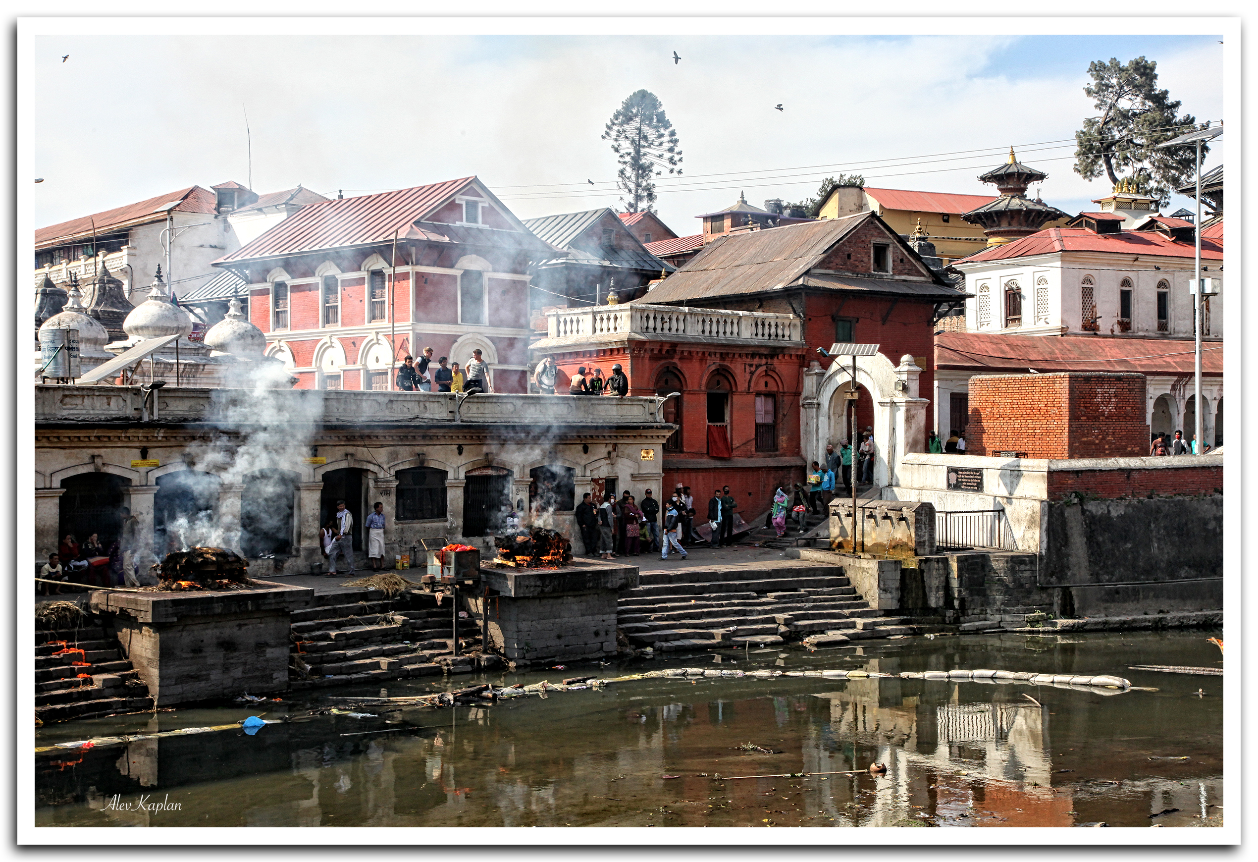 8-IMG_2686