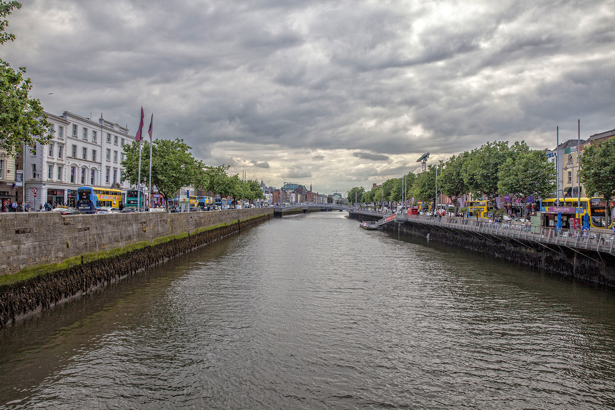 11-IMG_0530