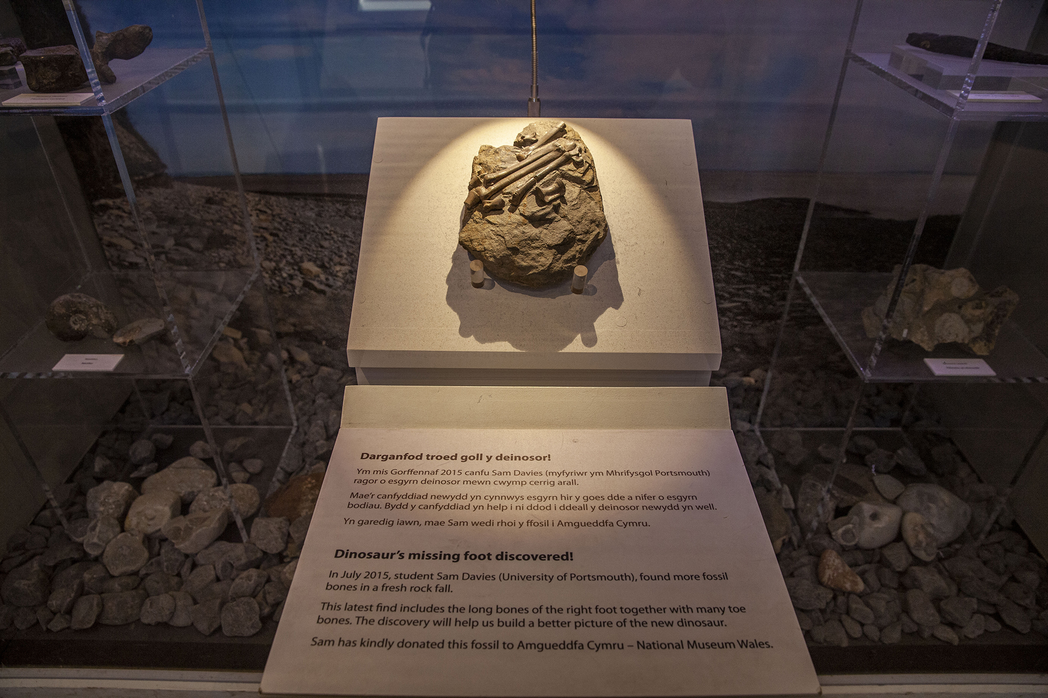 39-IMG_0402
