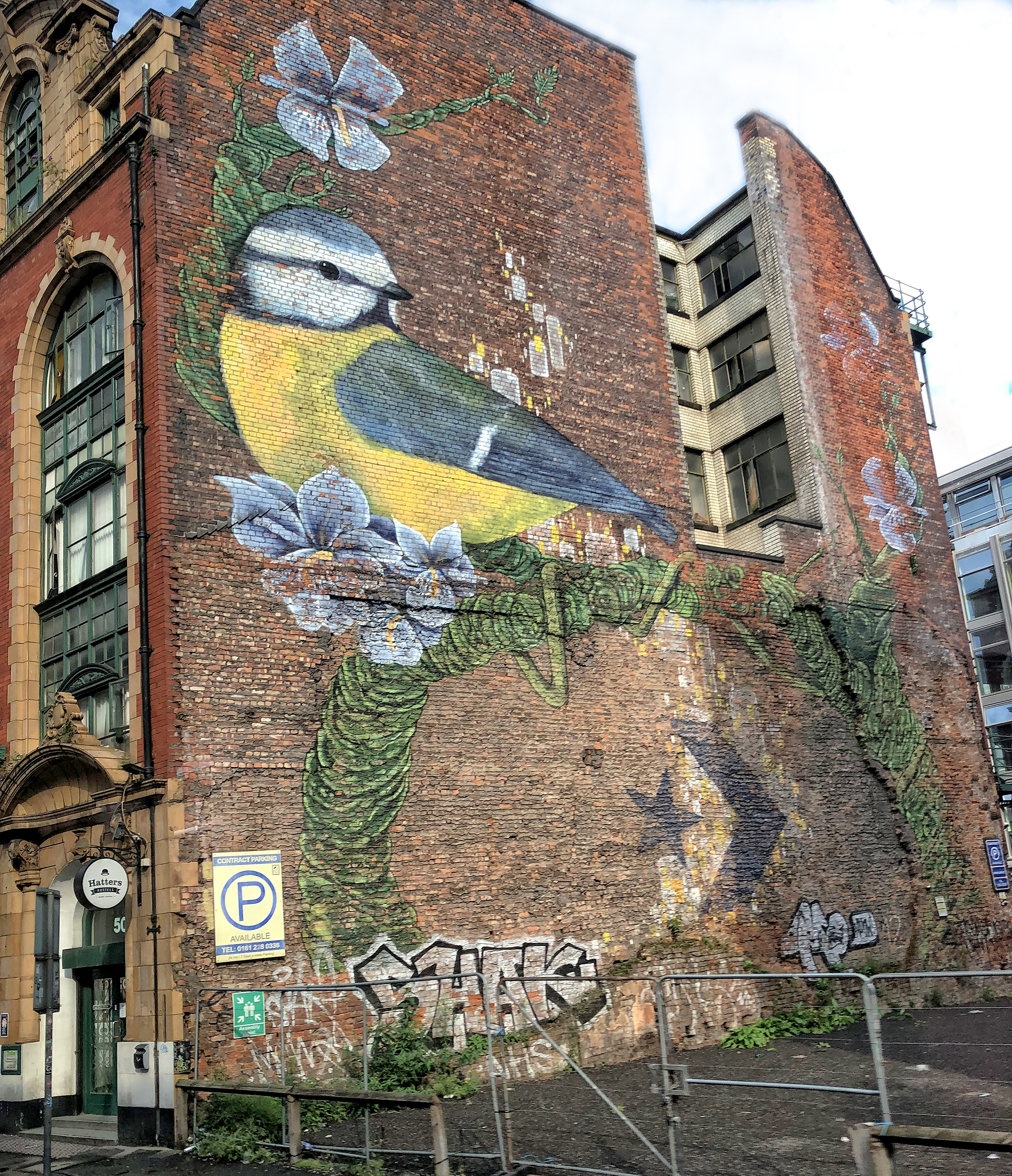 33-IMG_4646