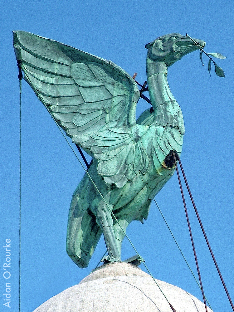 2B-LiverBird