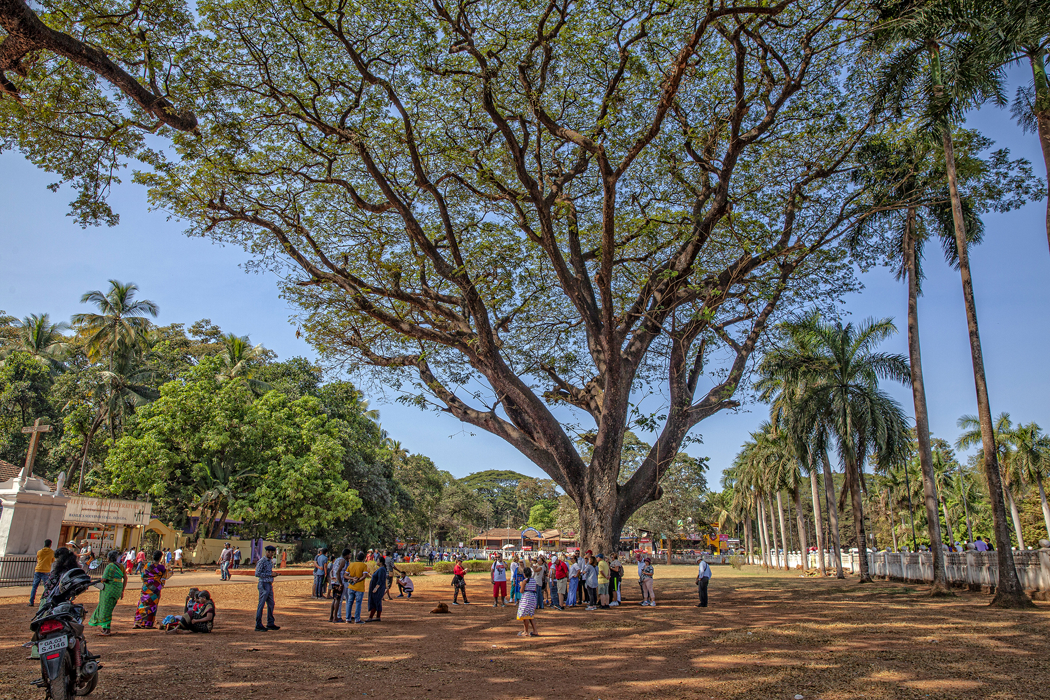 Goa-Bom Jesus Bazilika bahçesi