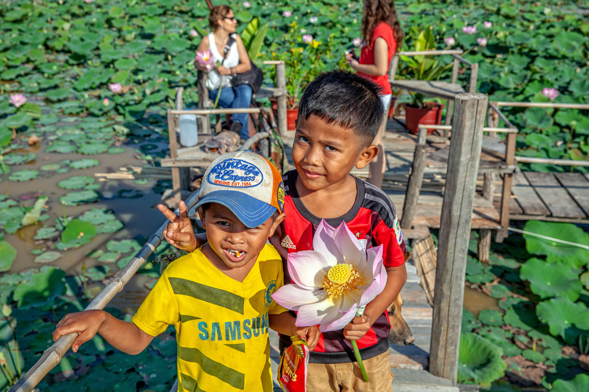 Kamboçya- Siem Reap   Lotus tarlası