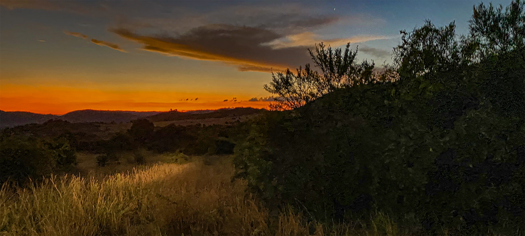 GA- Johannesburg- Pilanesberg Milli Parkı