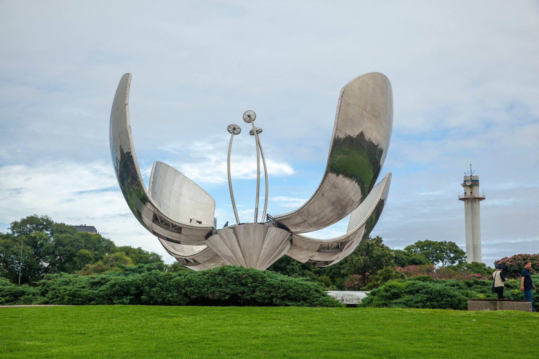 Floralis Generica- 2025